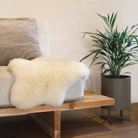 Appartamento Cal Ouaire House Lohodihomes *